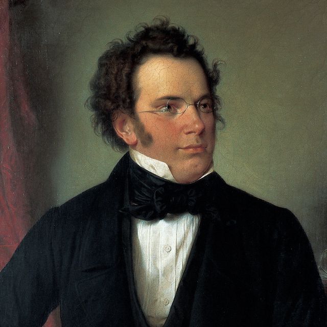 Franz Schubert Partner, Alter, Kinder, Gewicht, Vermögen, Eltern