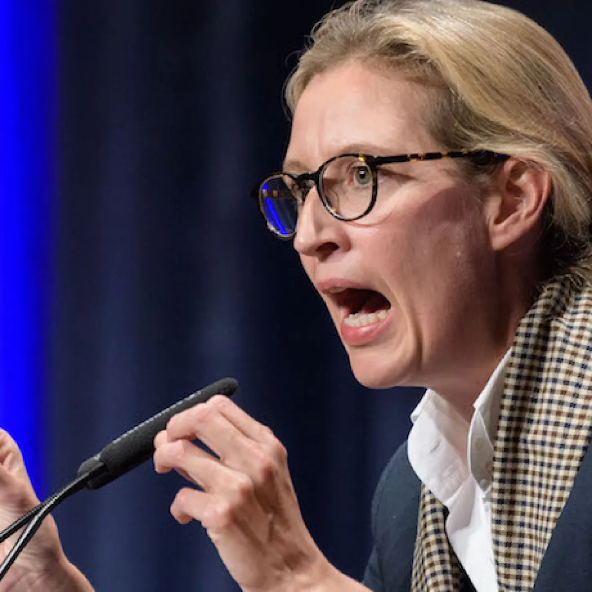 search image 2 Alice Weidel 2