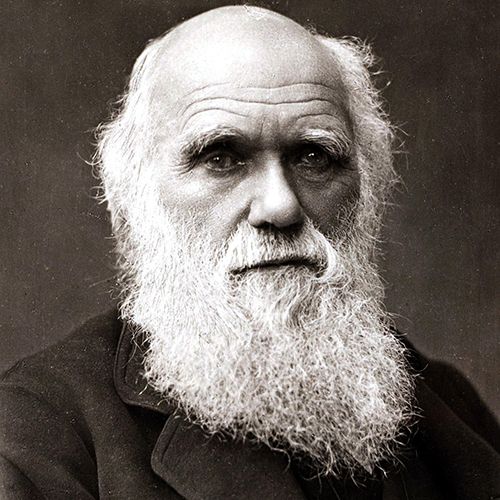 Charles Darwin - gmedia